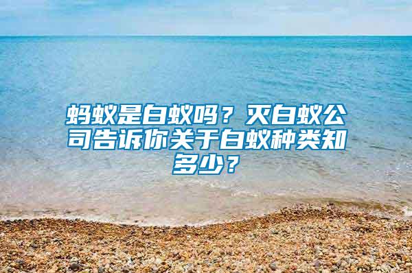 螞蟻是白蟻嗎？滅白蟻公司告訴你關于白蟻種類知多少？