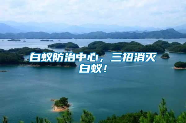 白蟻防治中心，三招消滅白蟻！