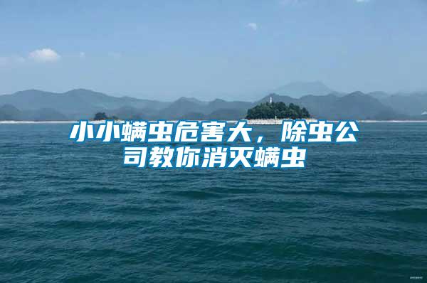 小小螨蟲危害大，除蟲公司教你消滅螨蟲