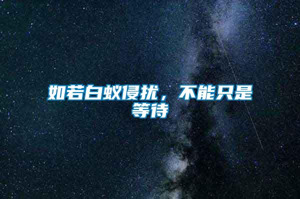如若白蟻侵?jǐn)_，不能只是等待