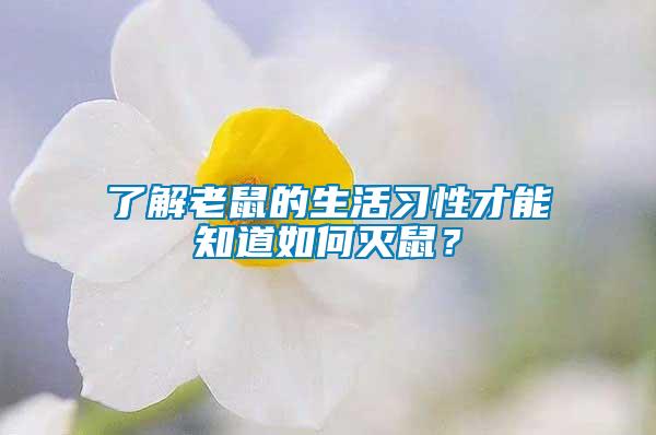 了解老鼠的生活習(xí)性才能知道如何滅鼠？