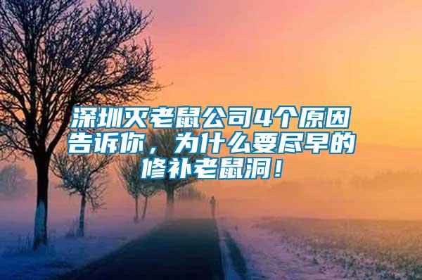 深圳滅老鼠公司4個(gè)原因告訴你，為什么要盡早的修補(bǔ)老鼠洞！
