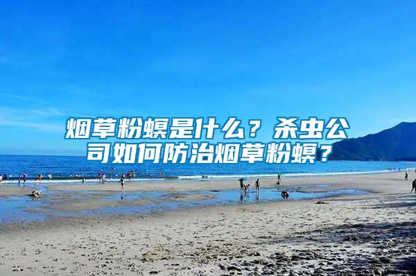 煙草粉螟是什么？殺蟲公司如何防治煙草粉螟？