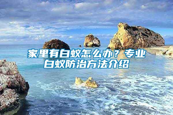家里有白蟻怎么辦？專業(yè)白蟻防治方法介紹