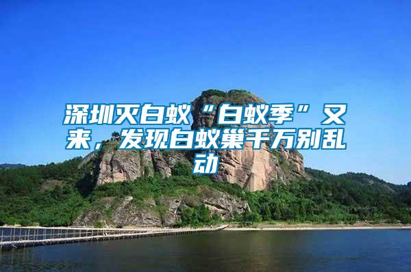 深圳滅白蟻“白蟻季”又來(lái)，發(fā)現(xiàn)白蟻巢千萬(wàn)別亂動(dòng)
