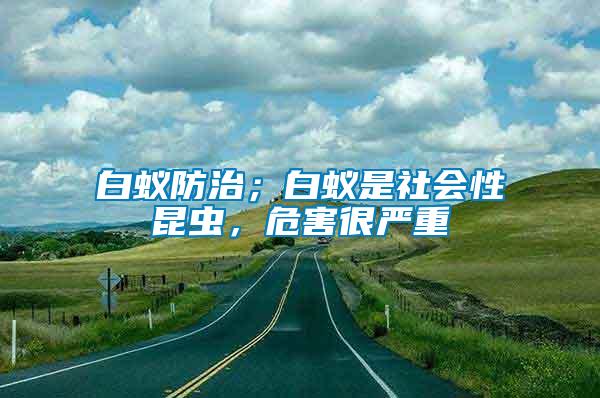 白蟻防治；白蟻是社會(huì)性昆蟲，危害很嚴(yán)重