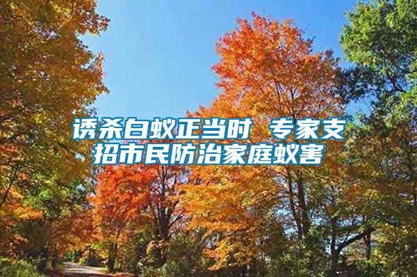 誘殺白蟻正當(dāng)時 專家支招市民防治家庭蟻害