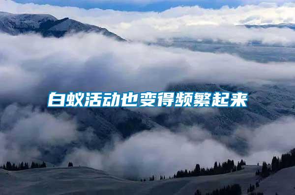白蟻活動(dòng)也變得頻繁起來
