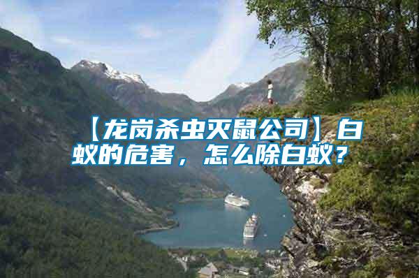 【龍崗殺蟲滅鼠公司】白蟻的危害，怎么除白蟻？