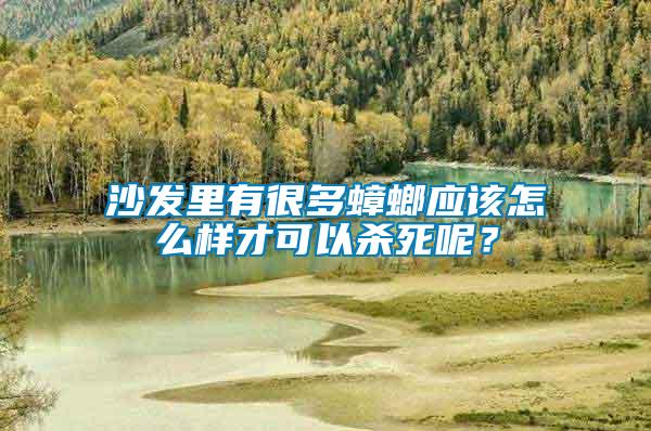 沙發(fā)里有很多蟑螂應該怎么樣才可以殺死呢？