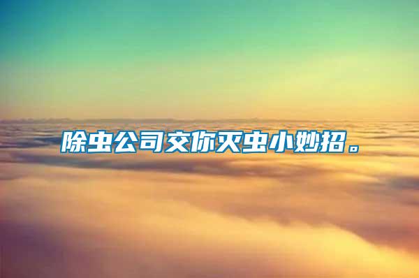 除蟲公司交你滅蟲小妙招。