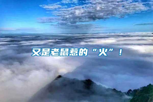又是老鼠惹的“火”！