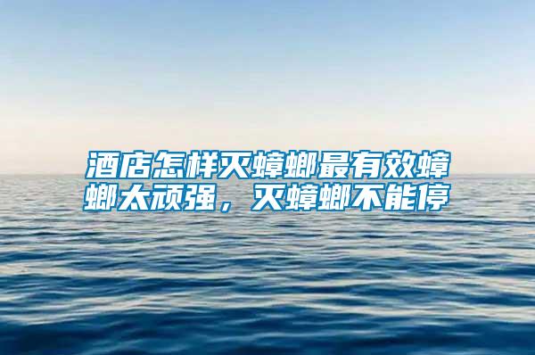酒店怎樣滅蟑螂最有效蟑螂太頑強(qiáng)，滅蟑螂不能停