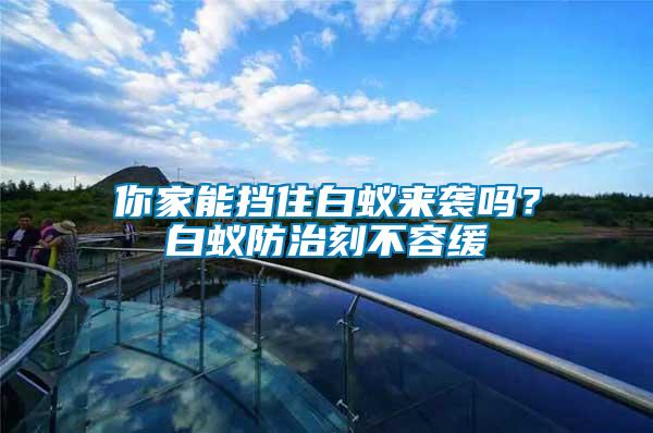 你家能擋住白蟻來襲嗎？白蟻防治刻不容緩
