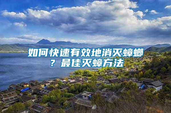 如何快速有效地消滅蟑螂？最佳滅蟑方法