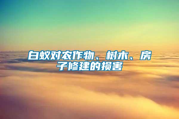 白蟻對(duì)農(nóng)作物、樹(shù)木、房子修建的損害