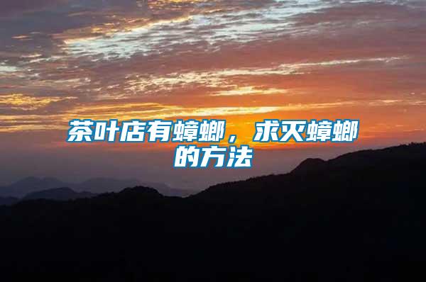 茶葉店有蟑螂，求滅蟑螂的方法