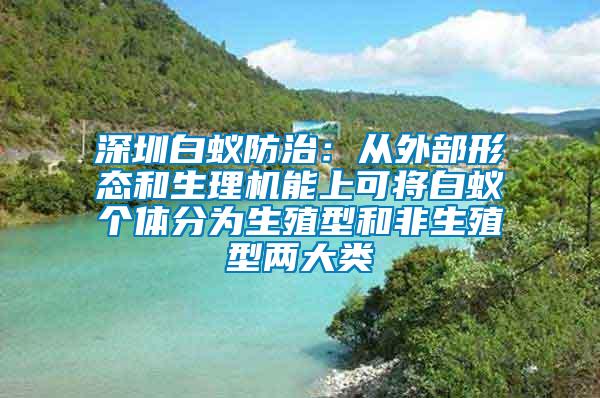 深圳白蟻防治：從外部形態(tài)和生理機(jī)能上可將白蟻個(gè)體分為生殖型和非生殖型兩大類(lèi)