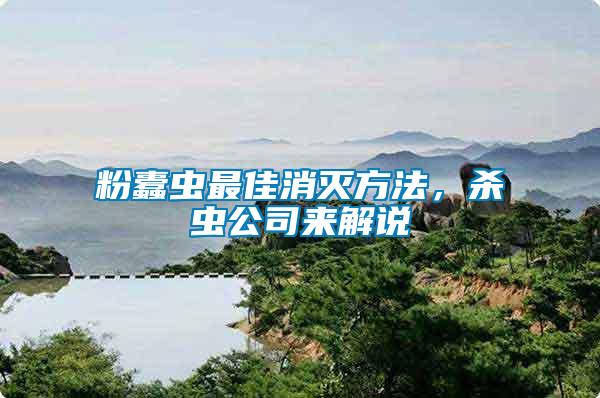 粉蠹蟲最佳消滅方法，殺蟲公司來解說