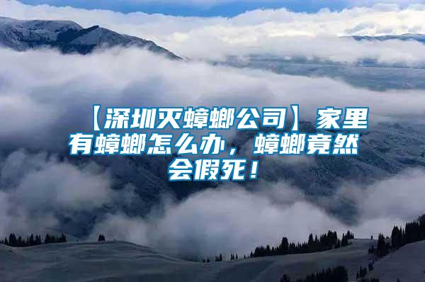 【深圳滅蟑螂公司】家里有蟑螂怎么辦，蟑螂竟然會(huì)假死！