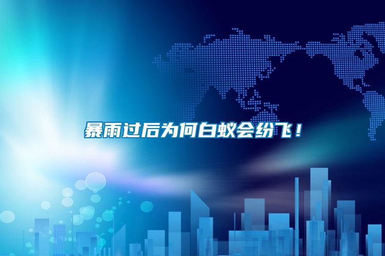暴雨過后為何白蟻會(huì)紛飛！
