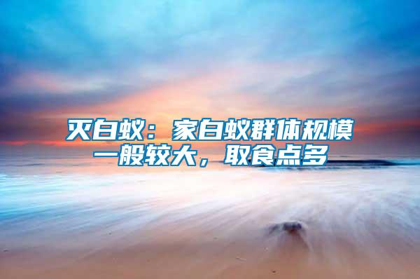 滅白蟻：家白蟻群體規(guī)模一般較大，取食點(diǎn)多