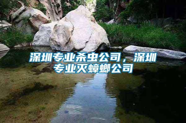 深圳專(zhuān)業(yè)殺蟲(chóng)公司，深圳專(zhuān)業(yè)滅蟑螂公司