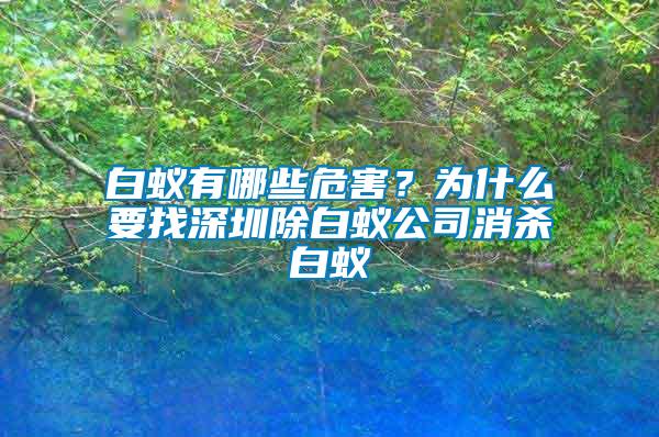 白蟻有哪些危害？為什么要找深圳除白蟻公司消殺白蟻