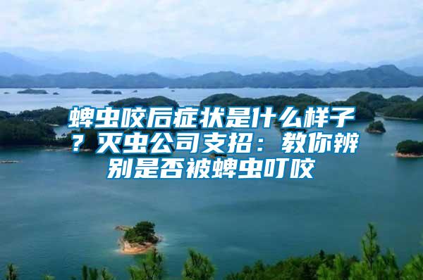 蜱蟲咬后癥狀是什么樣子？滅蟲公司支招：教你辨別是否被蜱蟲叮咬