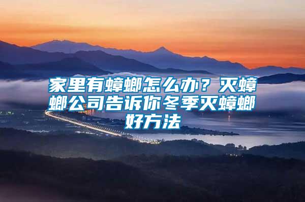家里有蟑螂怎么辦？滅蟑螂公司告訴你冬季滅蟑螂好方法