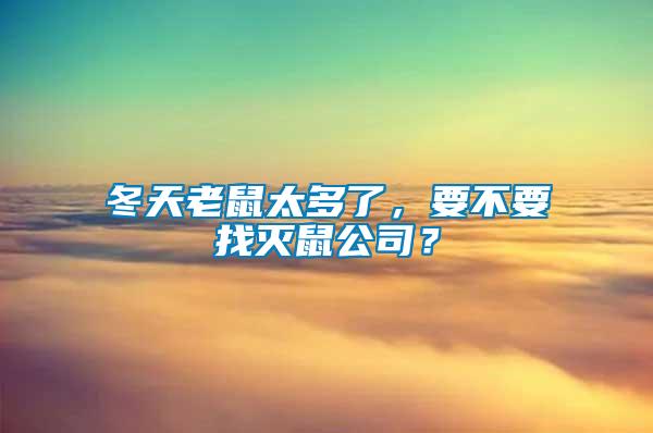 冬天老鼠太多了，要不要找滅鼠公司？