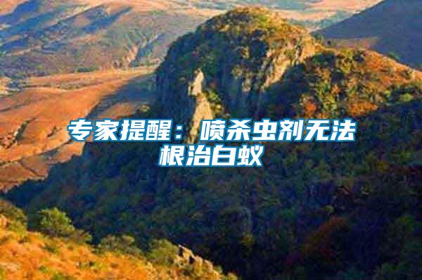 專家提醒：噴殺蟲(chóng)劑無(wú)法根治白蟻