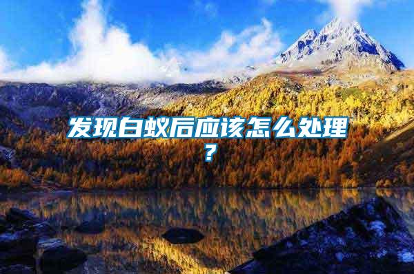 發(fā)現(xiàn)白蟻后應(yīng)該怎么處理？