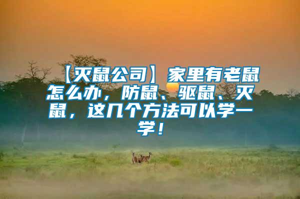 【滅鼠公司】家里有老鼠怎么辦，防鼠、驅(qū)鼠、滅鼠，這幾個(gè)方法可以學(xué)一學(xué)！