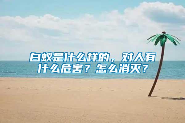 白蟻是什么樣的，對(duì)人有什么危害？怎么消滅？