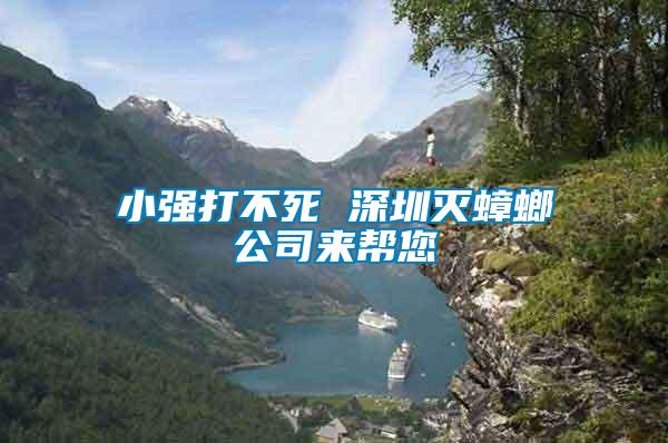 小強(qiáng)打不死 深圳滅蟑螂公司來幫您