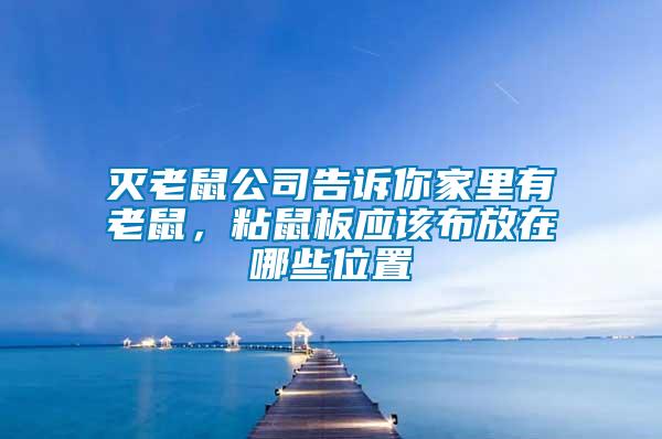 滅老鼠公司告訴你家里有老鼠，粘鼠板應(yīng)該布放在哪些位置