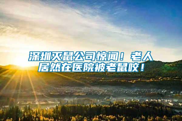 深圳滅鼠公司驚聞！老人居然在醫(yī)院被老鼠咬！