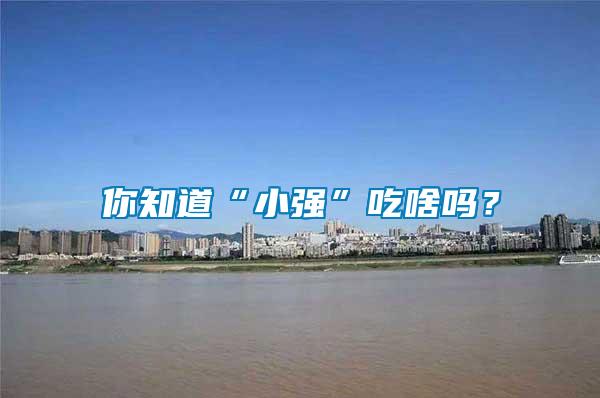 你知道“小強(qiáng)”吃啥嗎？