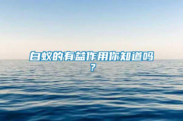 白蟻的有益作用你知道嗎？