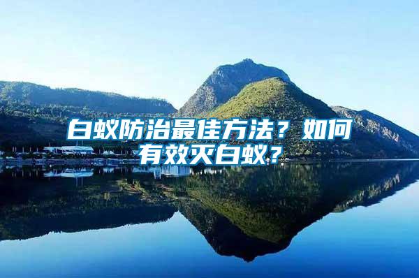 白蟻防治最佳方法？如何有效滅白蟻？