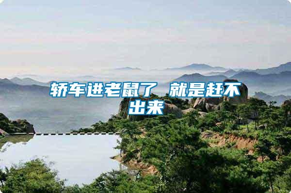 轎車進(jìn)老鼠了 就是趕不出來