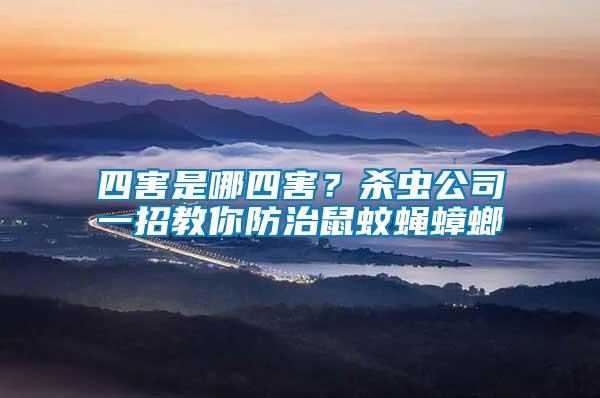 四害是哪四害？殺蟲公司一招教你防治鼠蚊蠅蟑螂