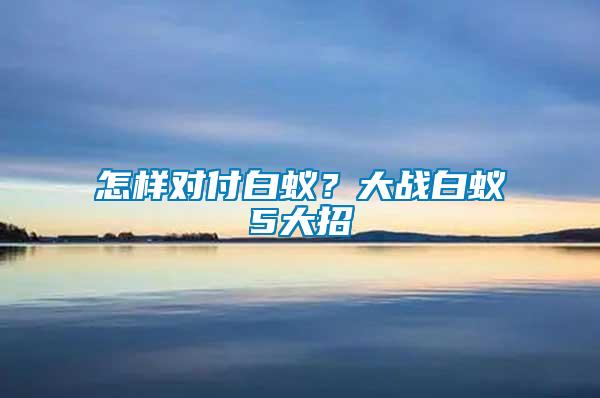 怎樣對(duì)付白蟻？大戰(zhàn)白蟻5大招