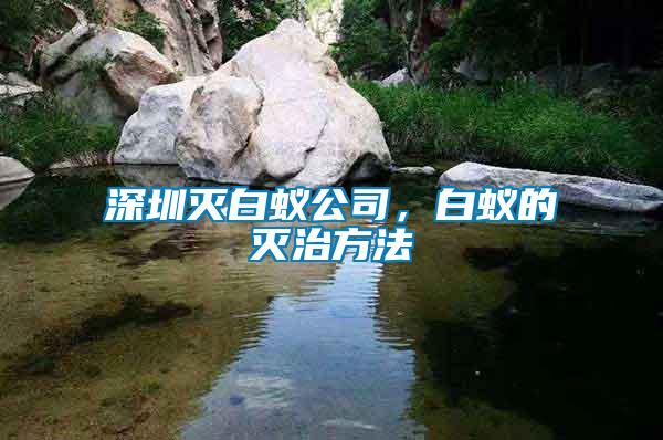 深圳滅白蟻公司，白蟻的滅治方法