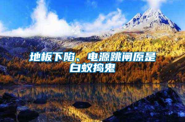 地板下陷、電源跳閘原是白蟻搗鬼