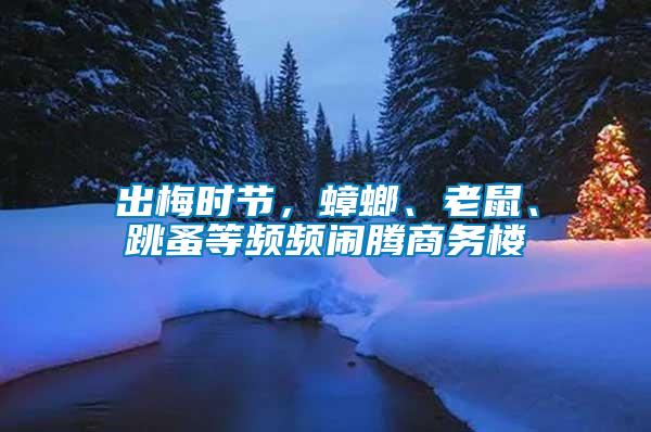 出梅時(shí)節(jié)，蟑螂、老鼠、跳蚤等頻頻鬧騰商務(wù)樓
