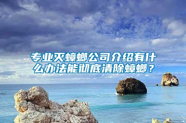 專(zhuān)業(yè)滅蟑螂公司介紹有什么辦法能徹底清除蟑螂？