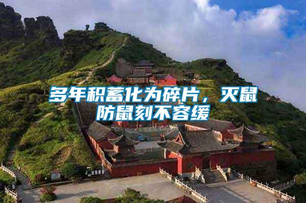 多年積蓄化為碎片，滅鼠防鼠刻不容緩