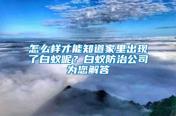 怎么樣才能知道家里出現(xiàn)了白蟻呢？白蟻防治公司為您解答